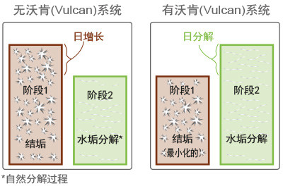 Daily growth of scale