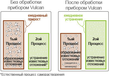 Daily growth of scale